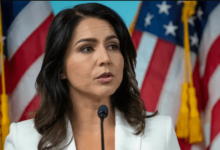 Press NH Now Net Worth