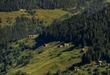 call failures by region