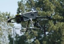 compliance and safety oversight