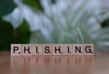 fraud protection contact numbers